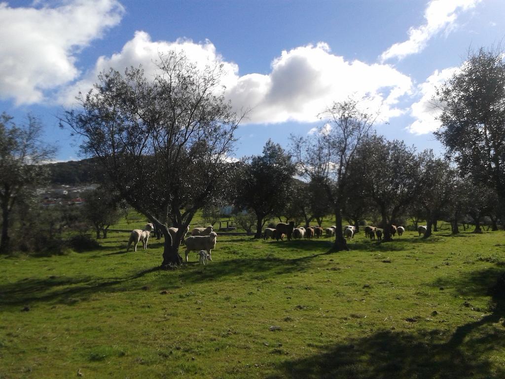 Tapada da Eira e Chanca Fortios Luaran gambar